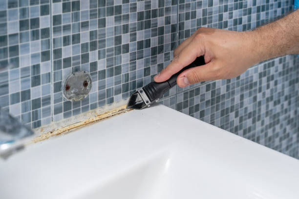 Best Office Mold Removal Services  in Landmk, AR